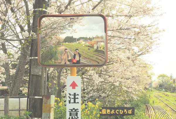 桜
