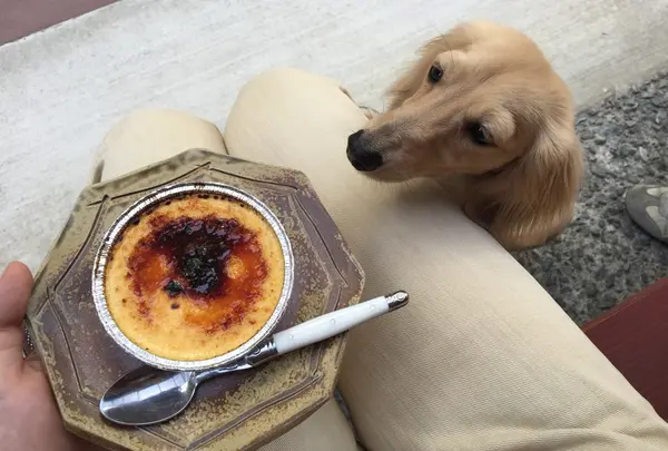 ベンチを借りました