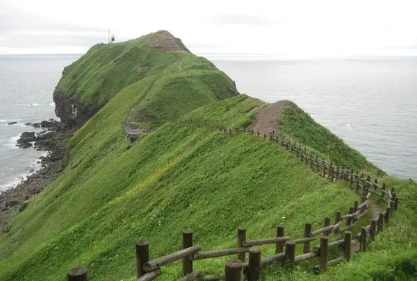 起伏に富んだ稜線上の遊歩道。