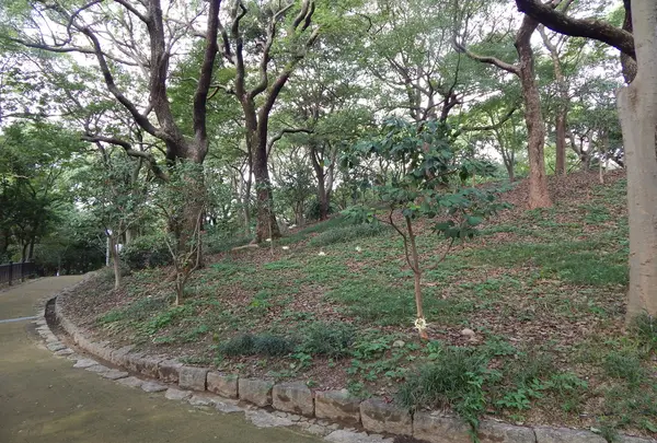 山頂