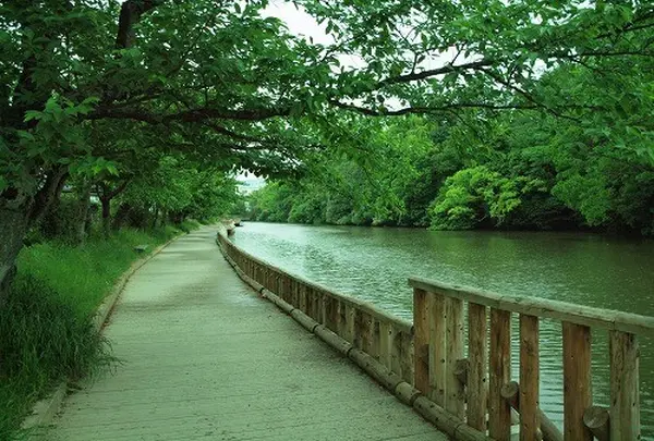 南郷公園