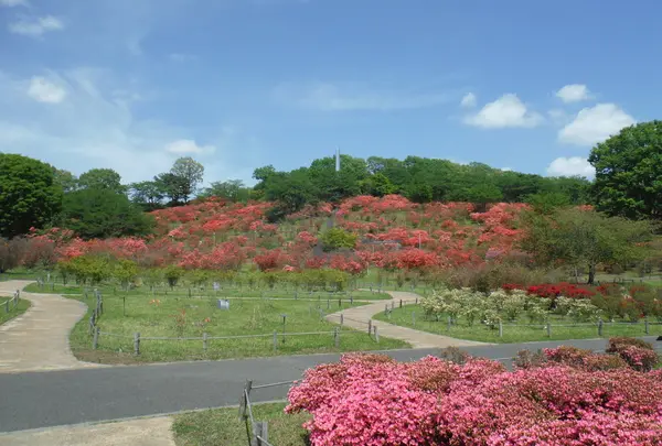 長峰公園