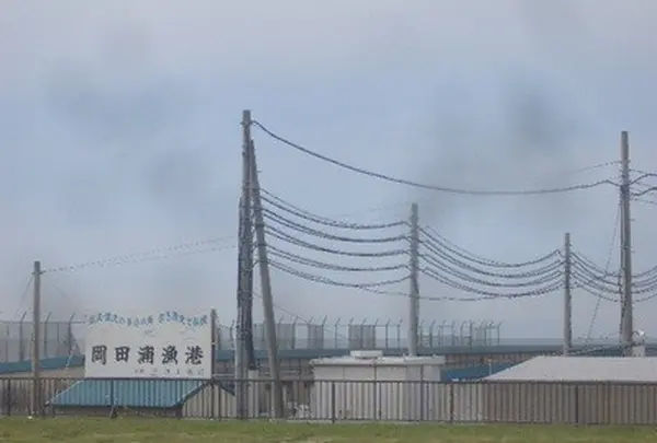 岡田浦漁港の写真・動画_image_145560