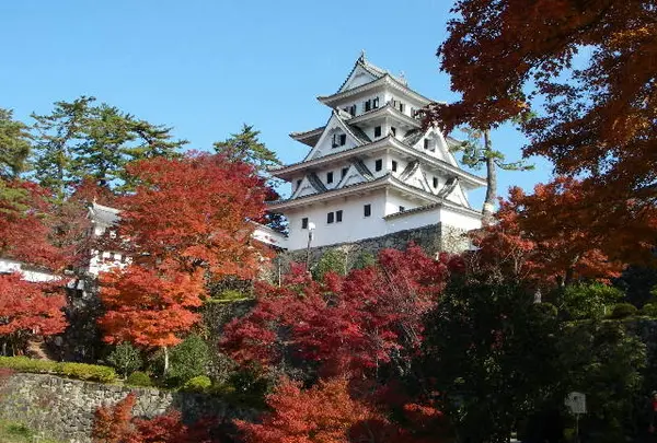 郡上八幡城
