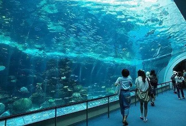 名古屋港水族館