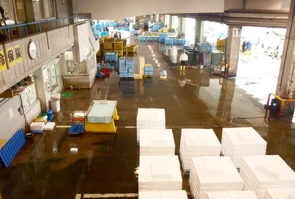 地方卸売市場氷見漁市場
