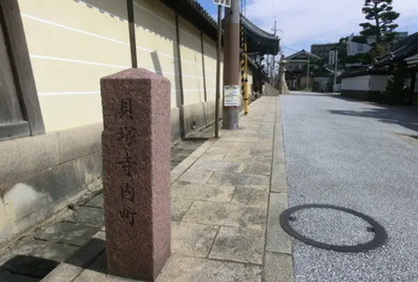 貝塚市の写真・動画_image_165414
