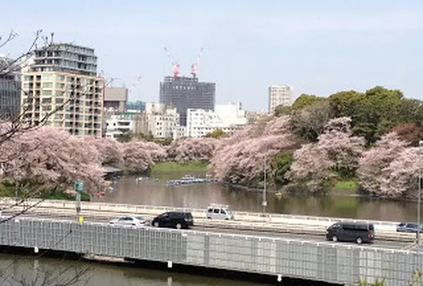 北の丸公園の土手から見下ろす