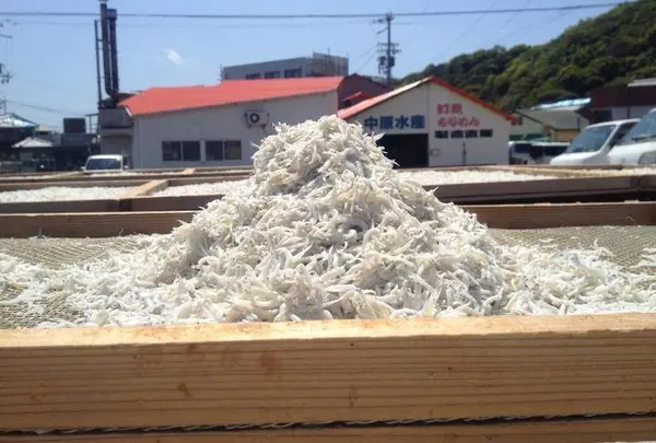 中原水産（有）