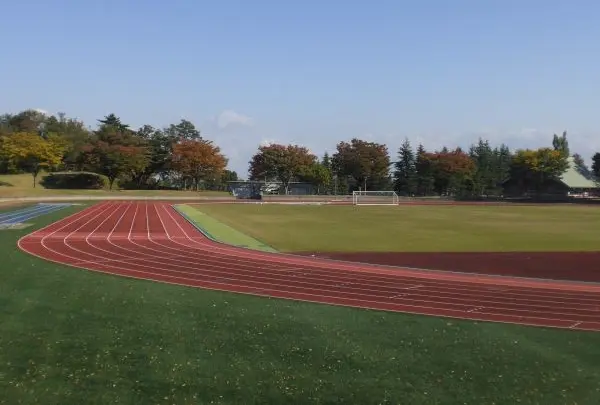 新井総合公園