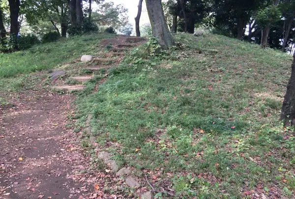 飛鳥山公園の写真・動画_image_200578