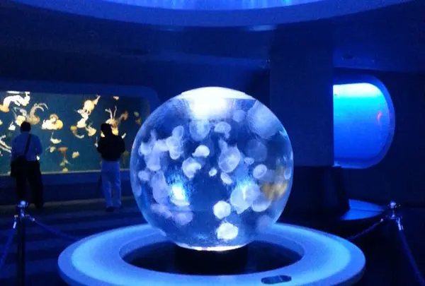 新江ノ島水族館