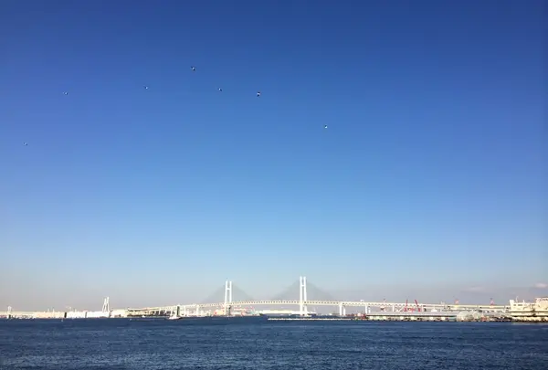 県立神奈川近代文学館の写真・動画_image_206313
