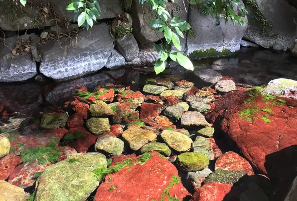 熱田神宮水源