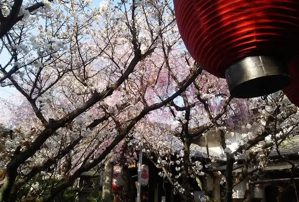 雨宝院