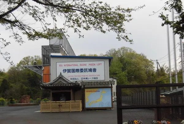 （社）日本鳩レース協会 伊賀国際委託鳩舎