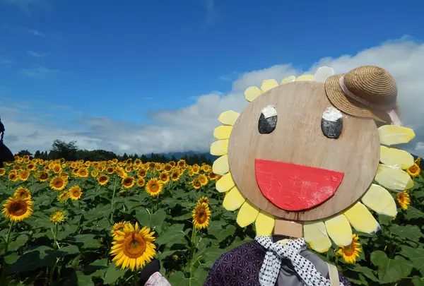 津南ひまわり広場