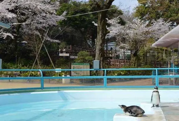 横浜市野毛山公園