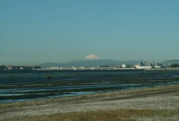 ふなばし三番瀬海浜公園