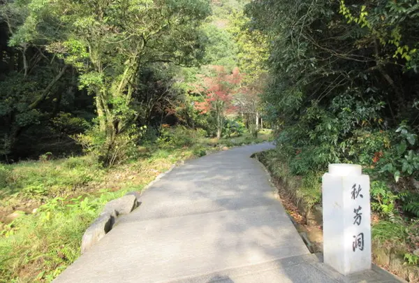 秋芳洞