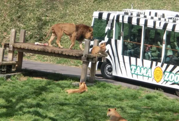 東京都多摩動物公園