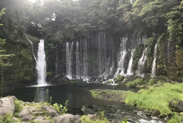 白糸の滝の写真・動画_image_694863