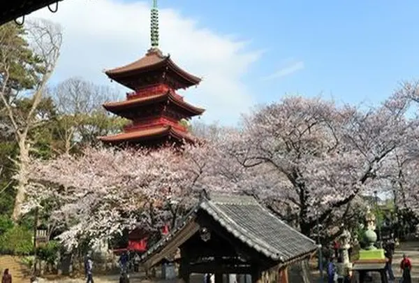 成田山新勝寺