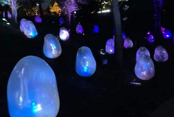 チームラボ どんぐりの森の呼応する生命の写真・動画_image_838836