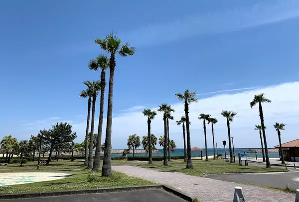 Sunbeach Hitotsuba / サンビーチ一ツ葉