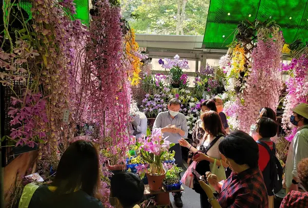 台北市建国仮日花市