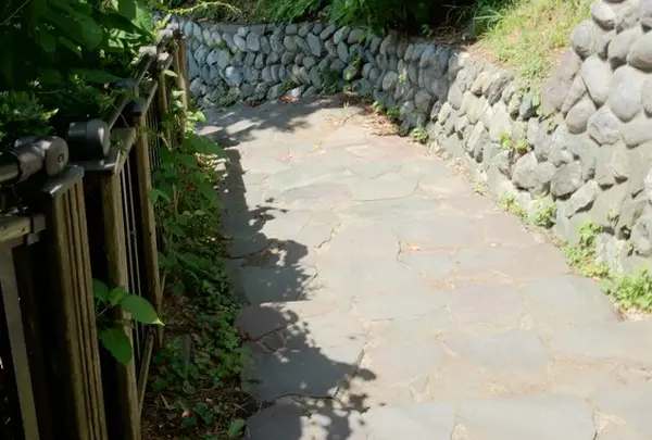 山の方へ行く道