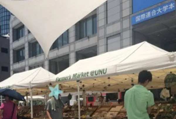 国連大学本部ビル