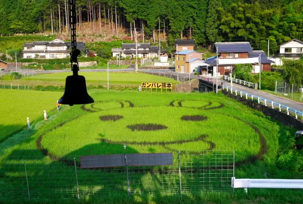 大岶公民館の田んぼアート