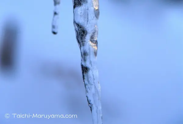 氷柱