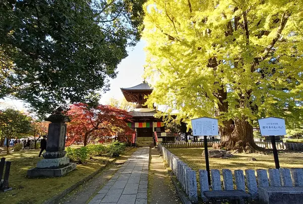 秋の紅葉の時期は見もの。是非お越しください。