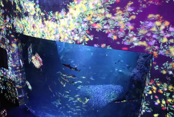 新江ノ島水族館