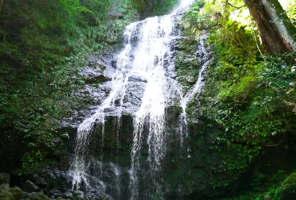 飛龍の滝