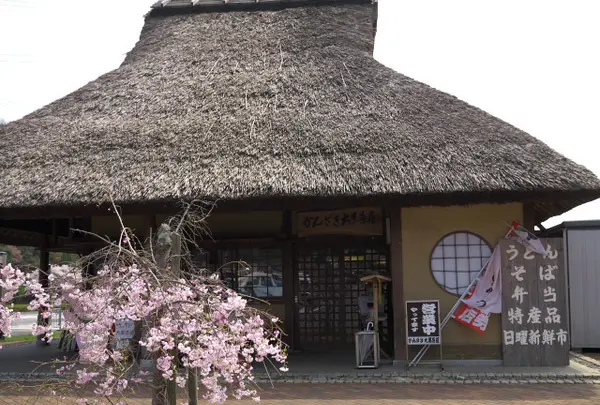 かんざき 大黒茶屋の写真・動画_image_148403