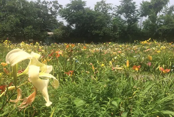 岡本自然農園の写真・動画_image_184663