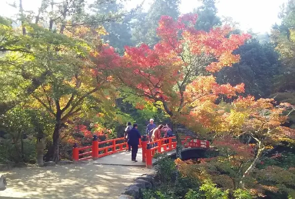 紅葉谷公園