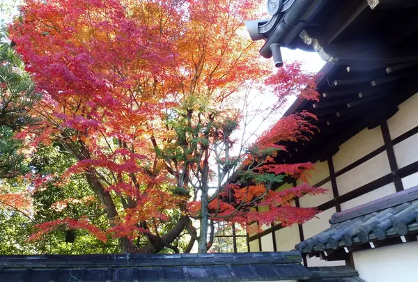 退耕庵