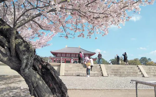 1300年の歴史に思いをはせる