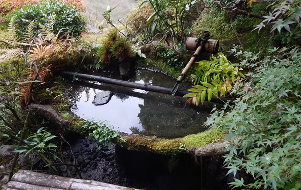 石の手水鉢