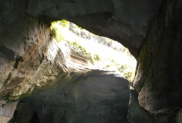 堂ケ島の写真・動画_image_138345