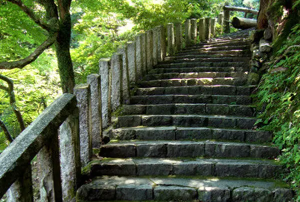 緑の階段をゆくと...