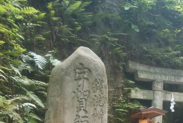 銭洗弁財天 宇賀福神社の写真・動画_image_108068