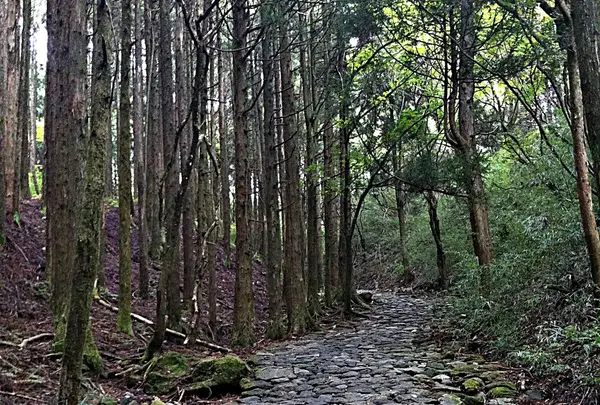 天ｹ石坂
