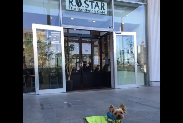 R.O.STAR(ロースター)でコーヒーをテイクアウト