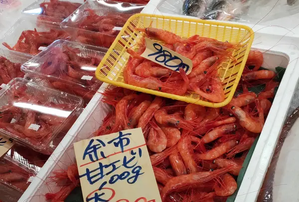 柿崎商店の写真・動画_image_406535
