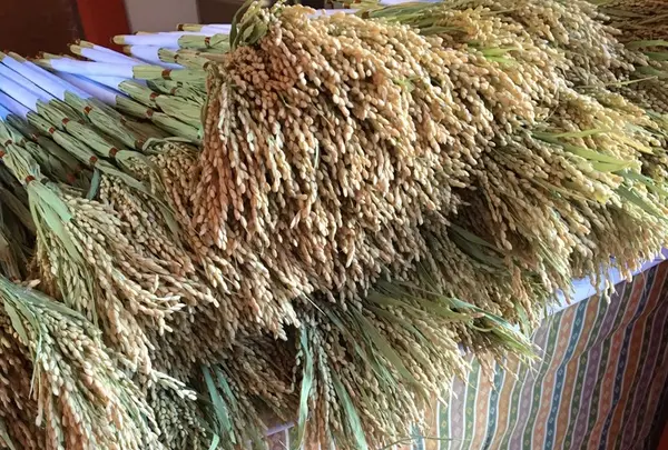 弁財天吉祥初稲穂の授与